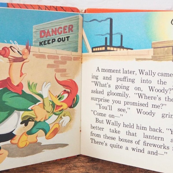 画像5: Woody Woodpecker (5)