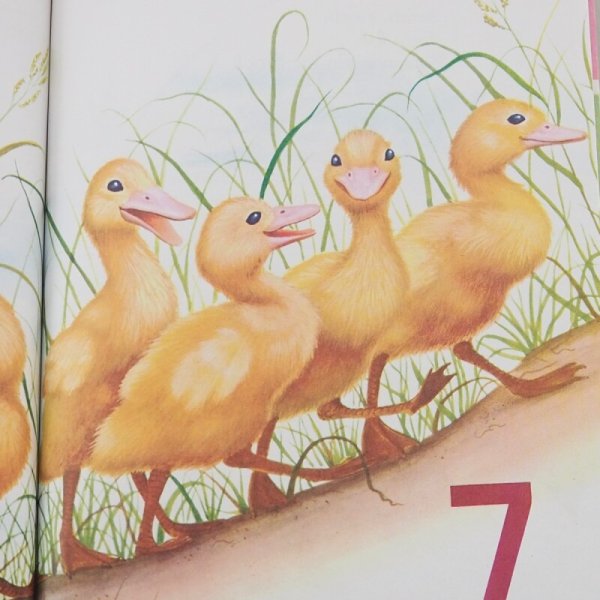 画像4: My First Counting Book (4)
