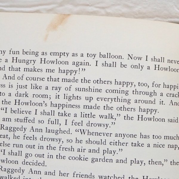 画像6: ラガディアン&アンディ 洋書 (6)