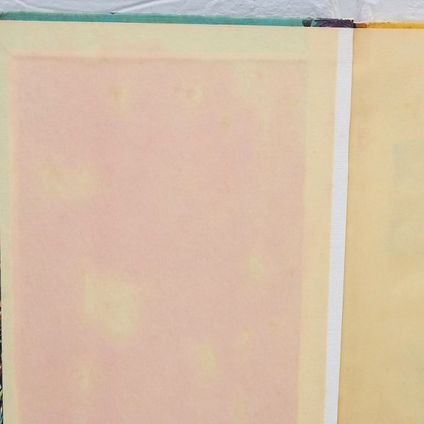 画像4: ラガディアン&アンディ 洋書 (4)