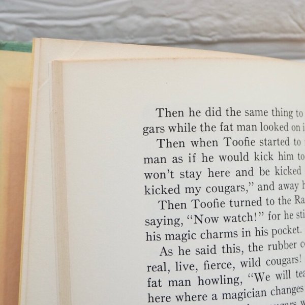 画像7: ラガディアン&アンディ 洋書 (7)