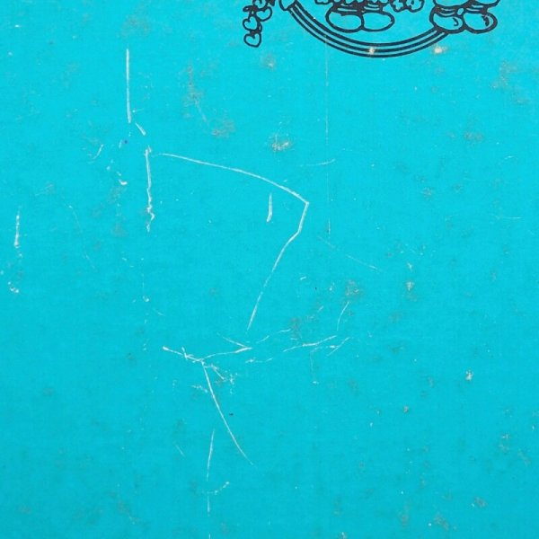 画像6: ラガディアン&アンディ 洋書 (6)