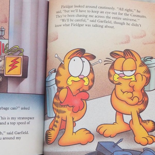 画像6: ガーフィールド 洋書 (6)