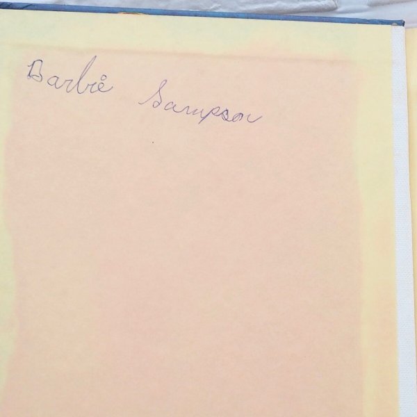 画像4: ラガディアン&アンディ 洋書 (4)