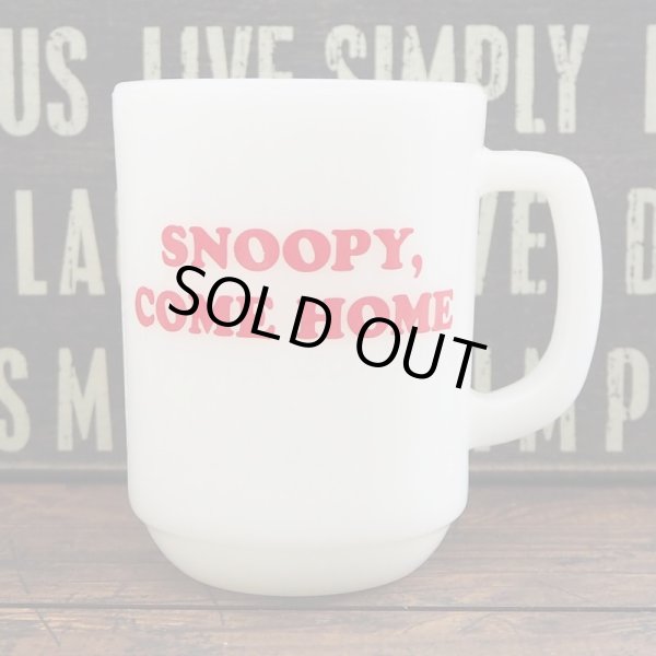 画像2: スヌーピー カムホーム (2)