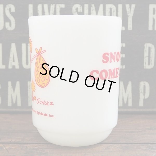 画像3: スヌーピー カムホーム (3)