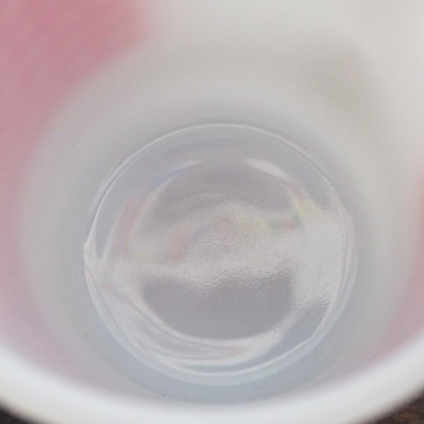 画像6: ギンガムチェック レッド (1) (6)