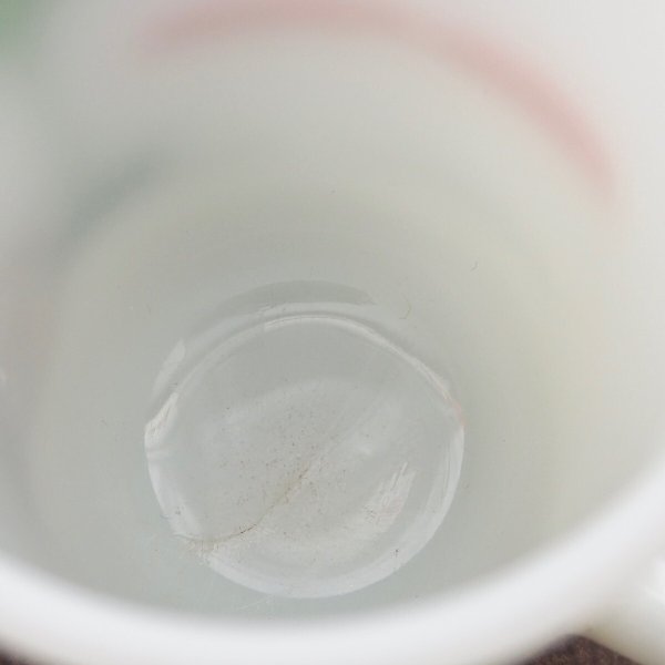 画像6: SNOOPY PEDAL POWER (6)