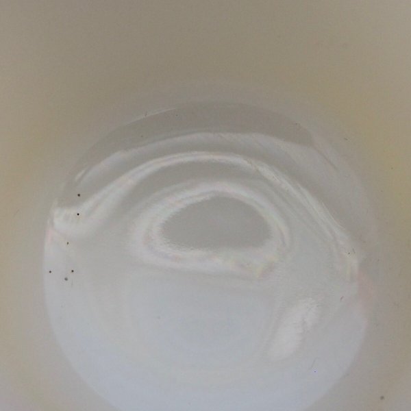 画像6: Honeywell Nascar (6)