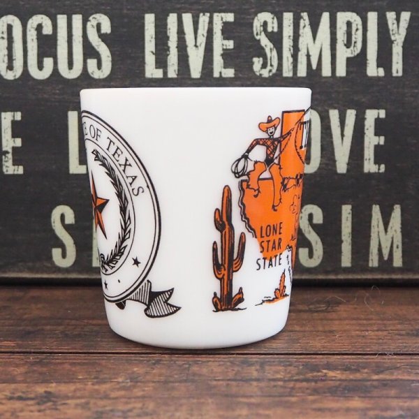 画像2: テキサス (2)