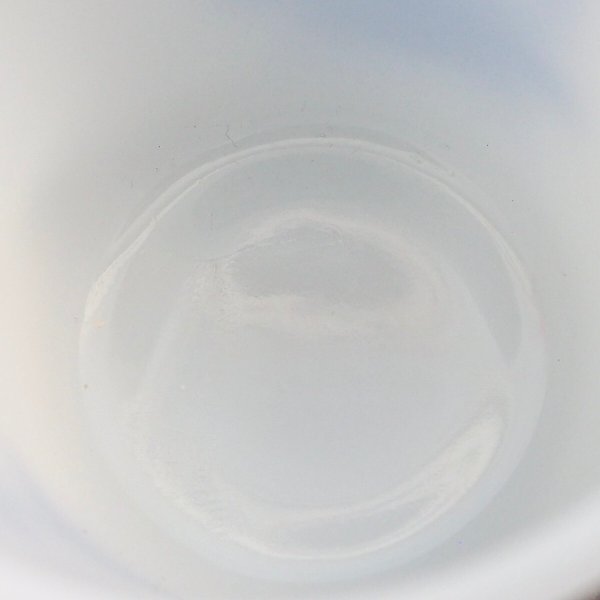 画像6: Hoegemeyer Hybrids (6)