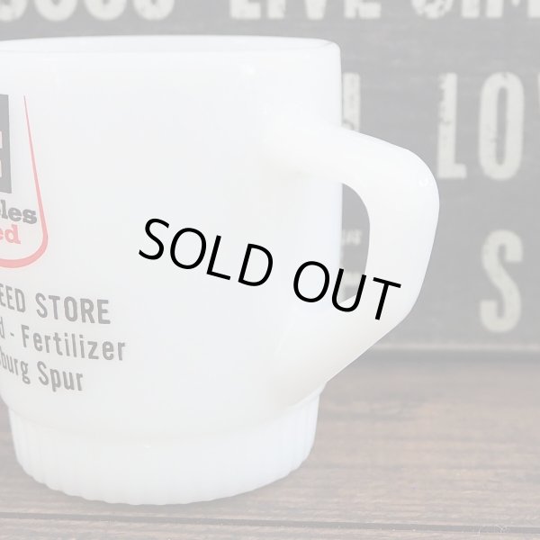 画像4: Teweles seed  (4)