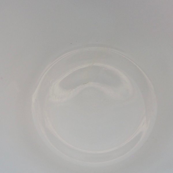 画像7: テキサス (7)