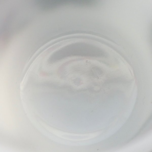 画像6: INSANITY (6)