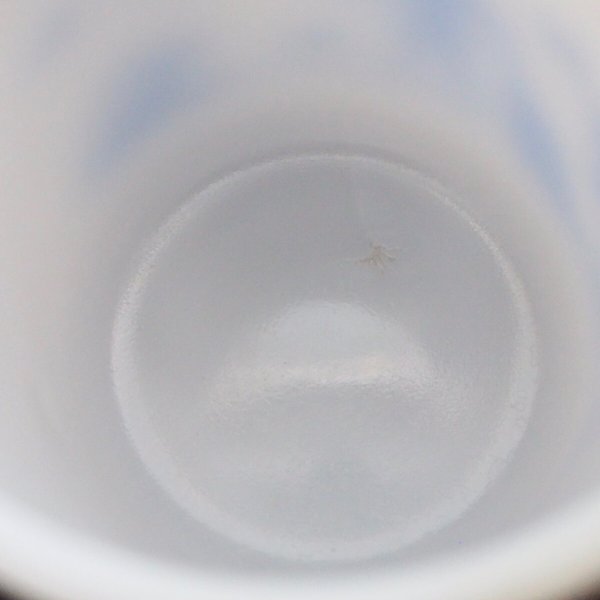 画像6: プレイヤー (2) (6)