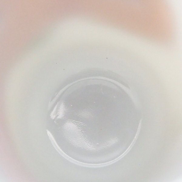 画像7: ナンシーリン オレンジ (2) (7)