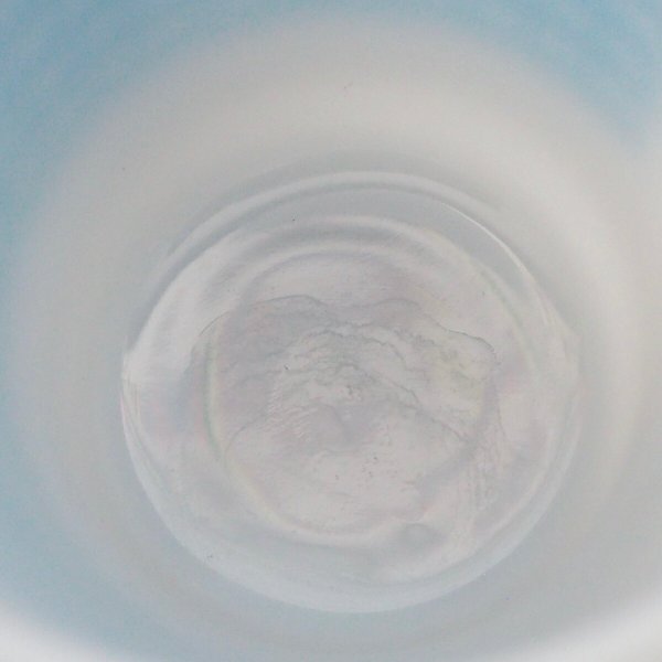 画像5: ギンガムチェック (5)