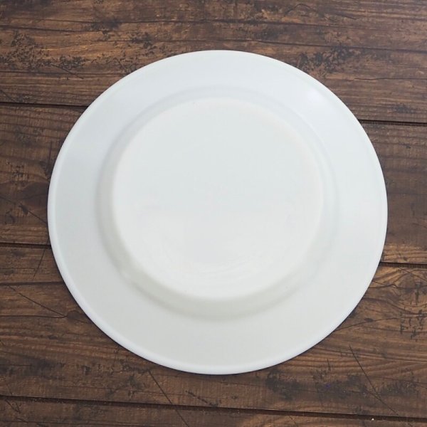 画像3: ティブロン ディナープレート  (3)