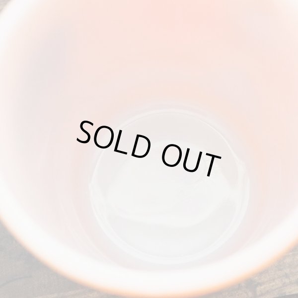 画像6: FLORIDA your coffee break mug (6)