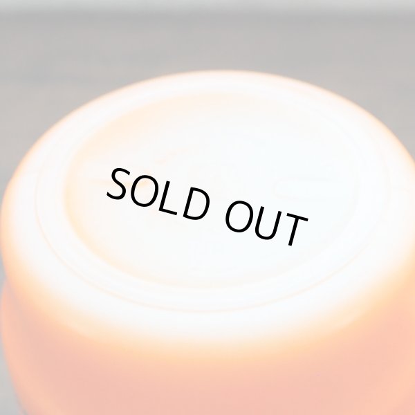 画像7: FLORIDA your coffee break mug (7)