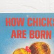 画像2: How chicks are born (2)