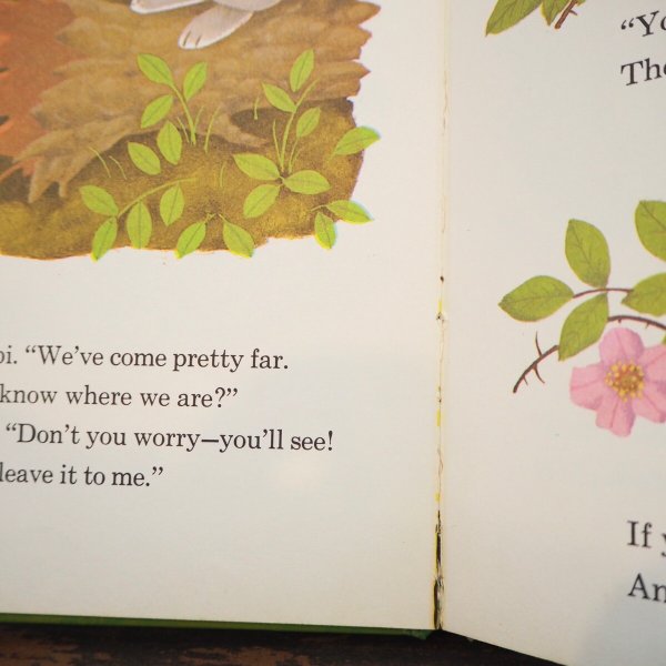 画像5: バンビ 洋書 (5)