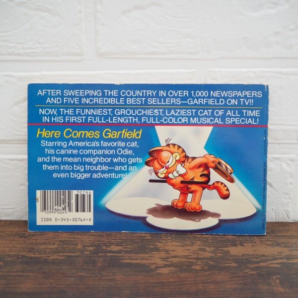 画像2: Here Comes Garfield 洋書 (2)