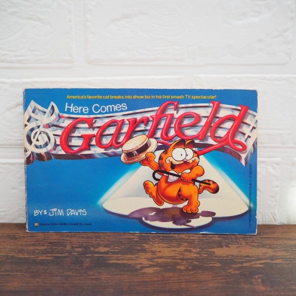 画像1: Here Comes Garfield 洋書 (1)