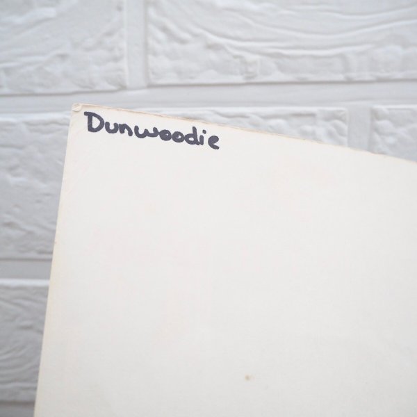 画像3: Pound Puppies A bark in the dark  (3)