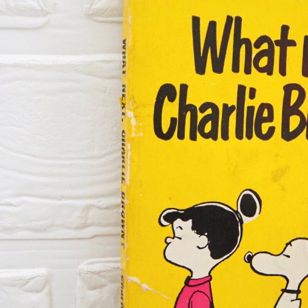 画像2: チャーリーブラウン 洋書 (2)