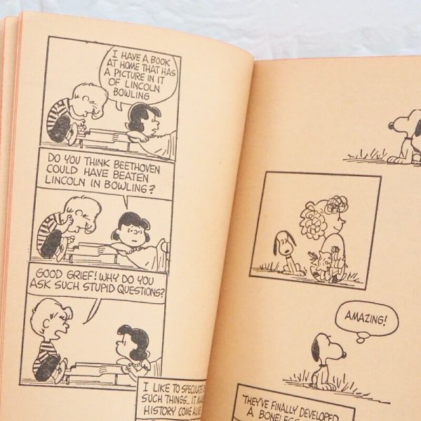 画像7: ピーナッツ 洋書 (7)