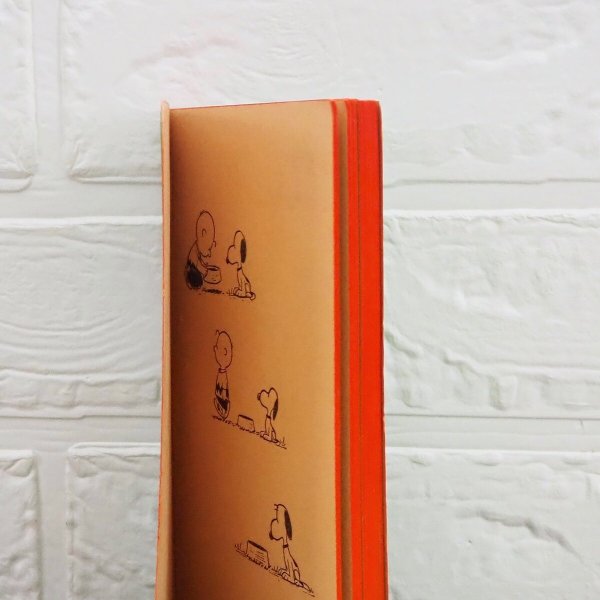 画像5: ピーナッツ 洋書 (5)