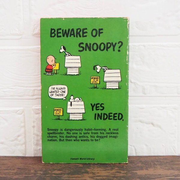 画像4: ピーナッツ 洋書 (4)