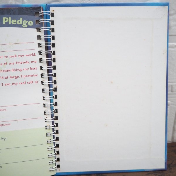 画像9: Hannah Montana 洋書 (9)