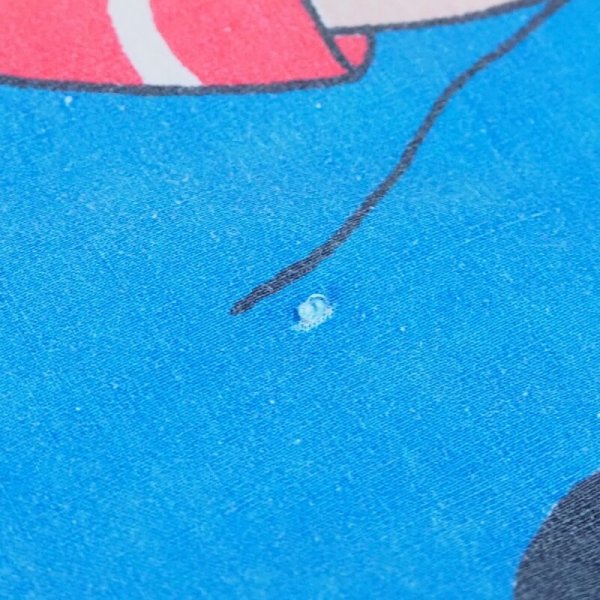 画像13: ラガディアン&アンディ フラットシーツ (1) (13)