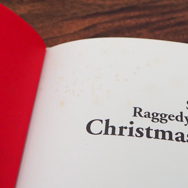 画像5: ラガディアン&アンディ 洋書 (5)