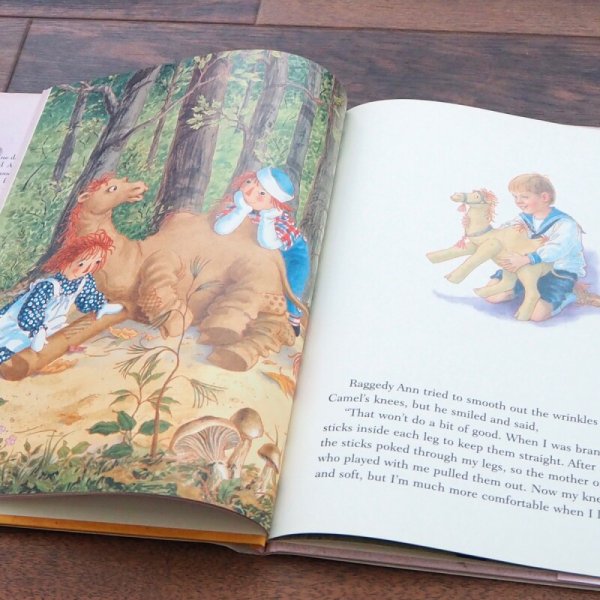 画像4: ラガディアン&アンディ 洋書 (4)