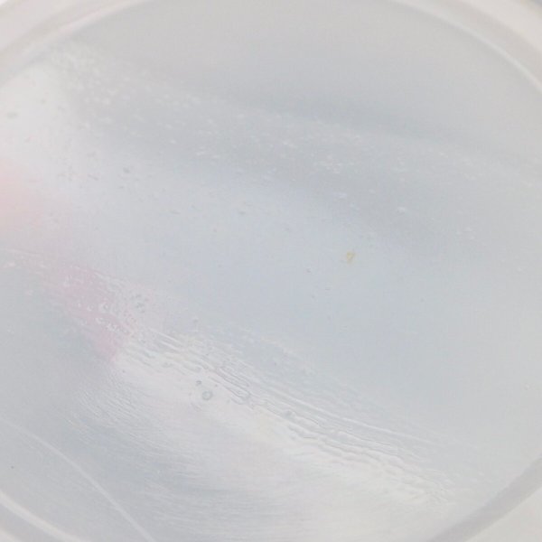 画像4: モダントーン サラダプレート (4)