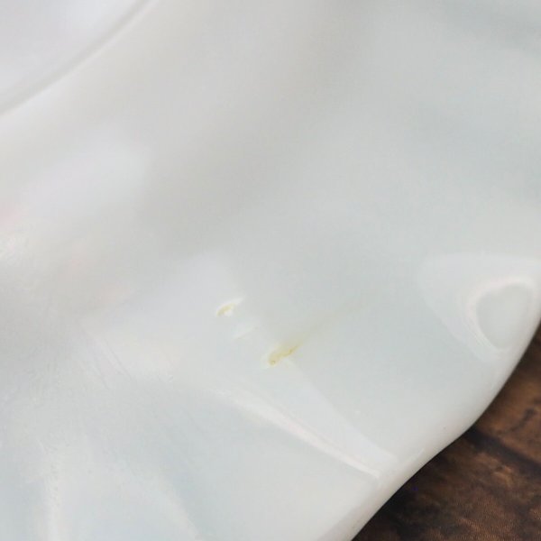 画像4: ブルーリプル ディナープレート  (4)