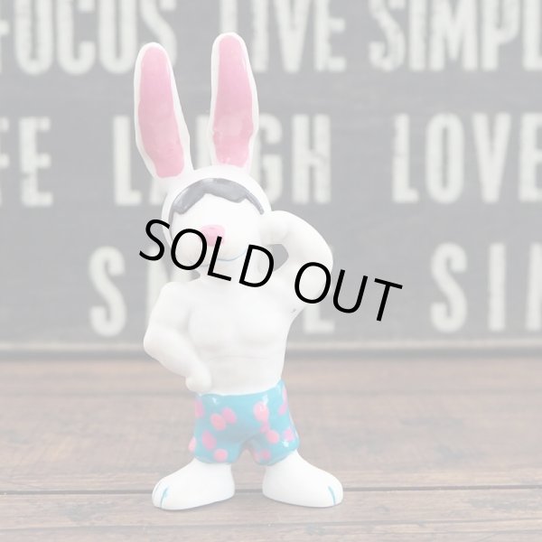 画像1: ビーチバニーズ (1)