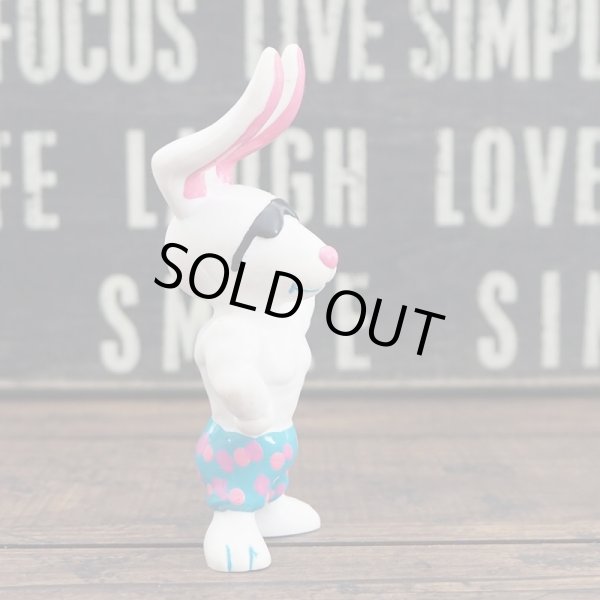 画像4: ビーチバニーズ (4)