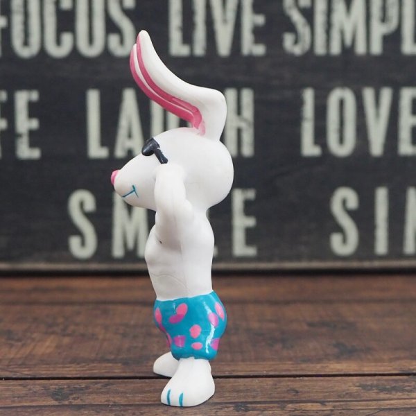 画像2: ビーチバニーズ (2)