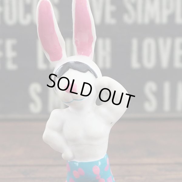 画像5: ビーチバニーズ (5)