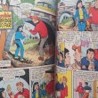 画像5: Archie #233 (5)