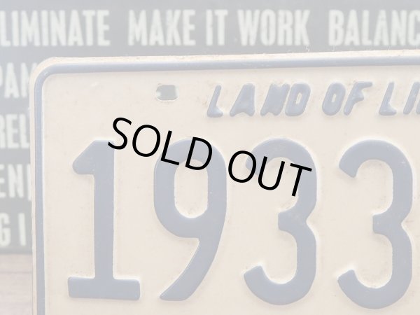 画像3: ナンバープレート Illinois  (3)