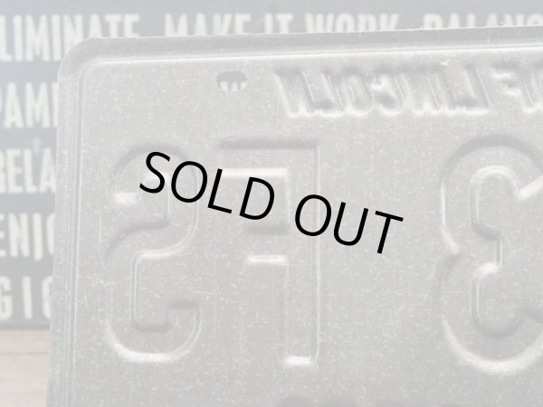 画像4: ナンバープレート Illinois  (4)