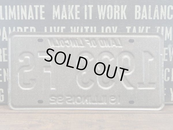 画像2: ナンバープレート Illinois  (2)