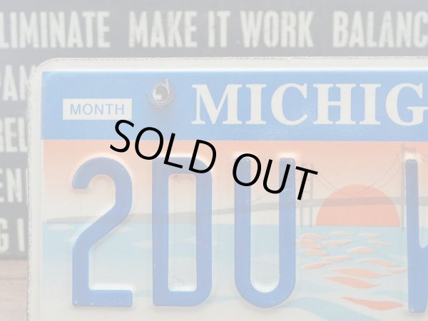 画像3: ナンバープレート Michigan  (3)