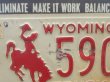 画像3: ナンバープレート Wyoming (3)
