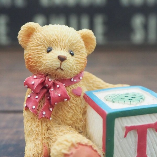 画像5: T テディ (5)